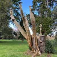 Knebworth House & Gardens