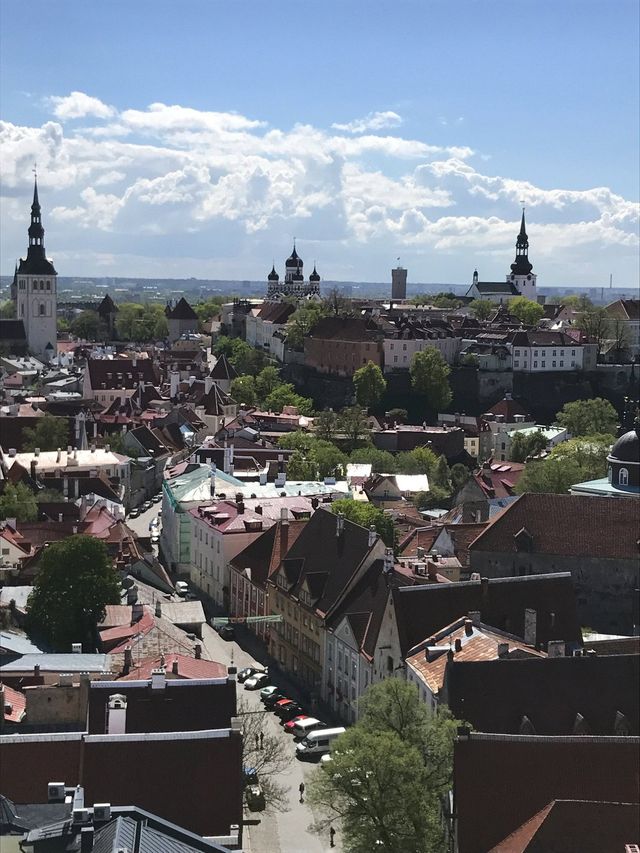 Timeless Tallinn 🏰