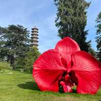 Royal Botanic Gardens, Kew 🇬🇧