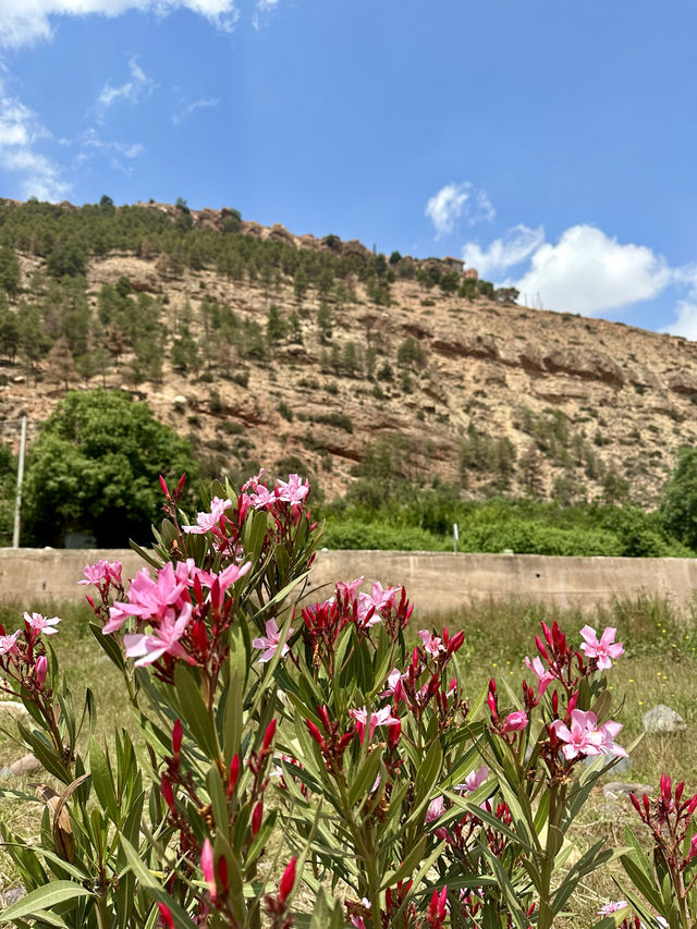 📍 Atlas Mountains, Morocco 🇲🇦