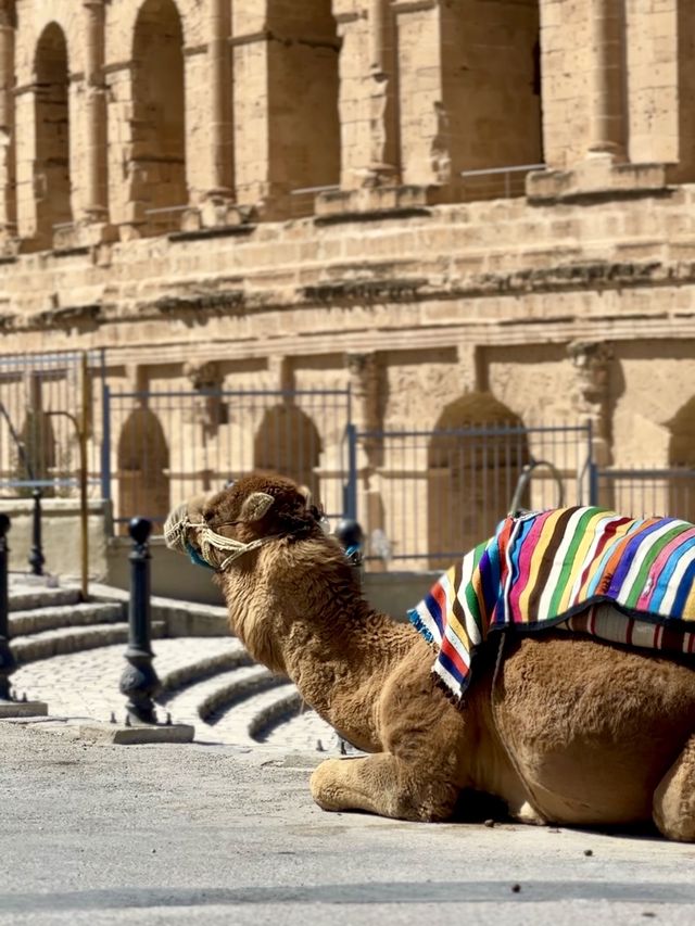 Explore the 3rd largest amphitheater in the World 🏛️