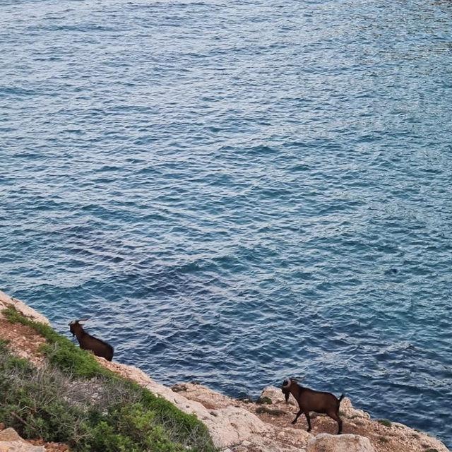 西班牙馬略卡島