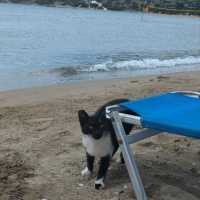 Aigina Island - Itinerary 2 DAYS ✨⭐✨⭐✨