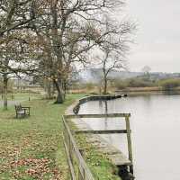 Lakeside Cycling Bliss at Fell Foot Park