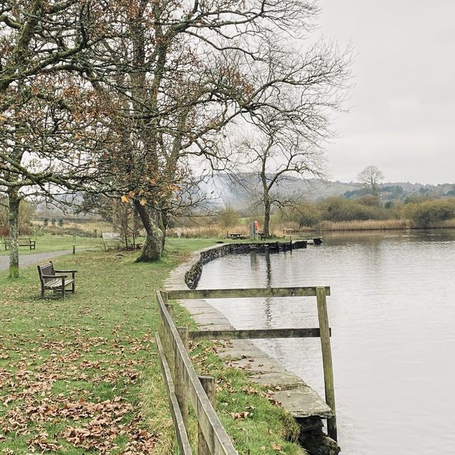 Lakeside Cycling Bliss at Fell Foot Park