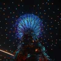 Singapore from the Top: The Beauty of Supertree Observatory