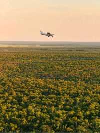 Roadtrip to Kakadu National Park: A Must-Do Aussie Adventure! 🚗🌳✈️