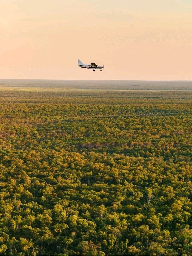 Roadtrip to Kakadu National Park: A Must-Do Aussie Adventure! 🚗🌳✈️