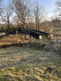 Alongside the railway 