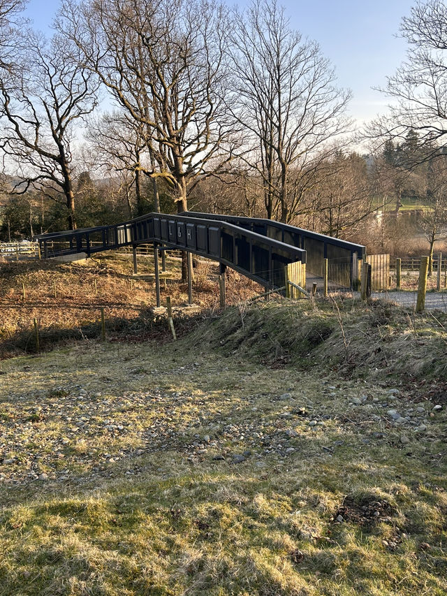 Alongside the railway 