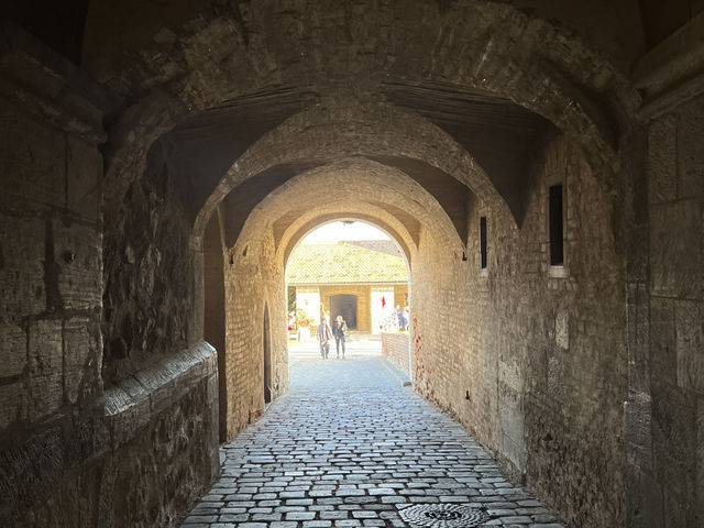 🇨🇿 斯皮爾博城堡（Špilberk Castle）🏰