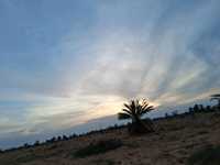Desert sunset❤️