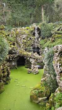 🌲 Escape to Sintra’s Wild Side