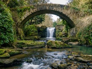 Jesmond Dene: The natural gem of Newcastle