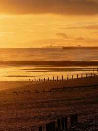 🌊 Discover the Charm of Brighton Beach 🏖️