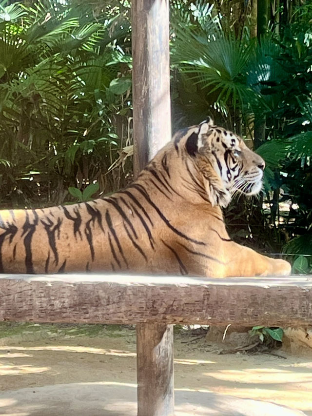 Guangzhou 3 Days Itinerary