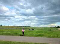 A Perfect Summer Day at Birmingham Airport Viewing Area – A Hidden Gem in Sheldon Country Park