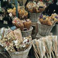 Charming Canals & Culture: The Magic of Amsterdam