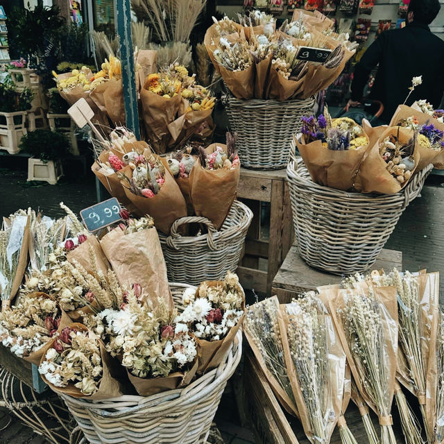 Charming Canals & Culture: The Magic of Amsterdam