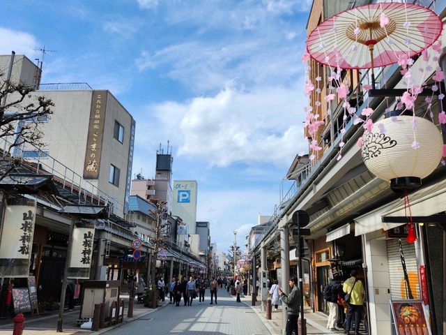 Takayama: a mountainous city still preserving the best traditional Japanese culture