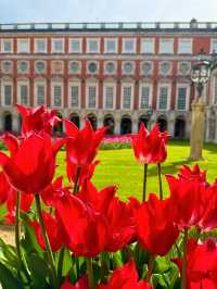 🌷 Hampton Court Palace in Bloom – The Best Time to Visit! 👑