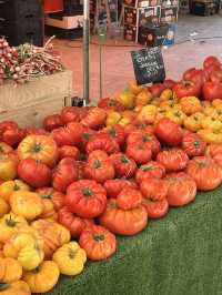 Aix en Provence ｜Saturday market you cannot miss