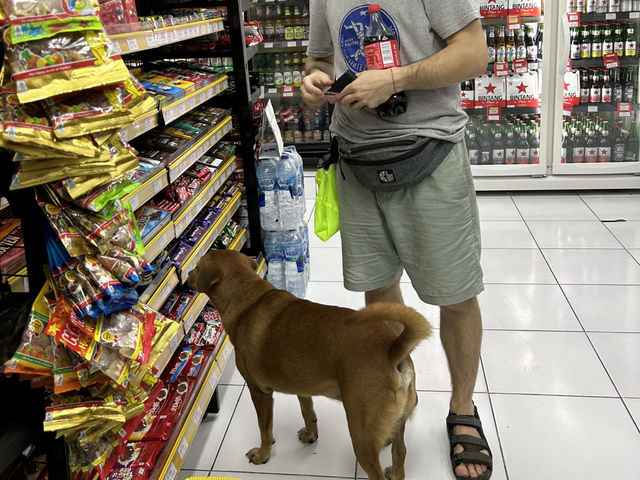 The 5 year winters in Bali experience Bali’s life conclusion: