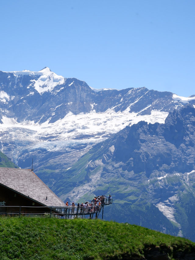 🏔️ รีวิว Grindelwald First – ประสบการณ์สุดขอบฟ้า