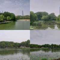 Nice parks with lakes
