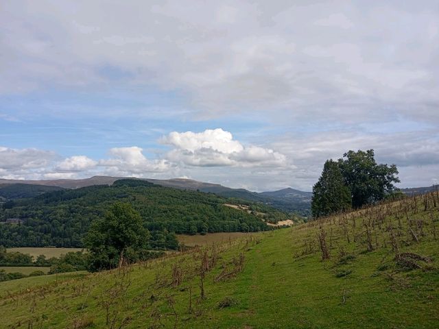 A walk to the summit of Tor y Foel starting in Talybont on Usk