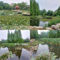 Qingdao 5 Days Travel Guide