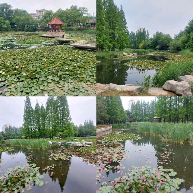 Qingdao 5 Days Travel Guide