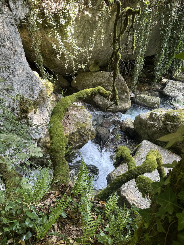 Cuves Nature Escape🌲