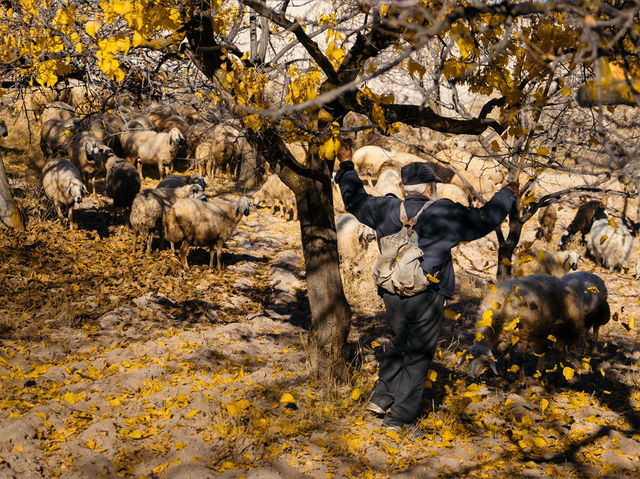 Пастух и барашки среди скал