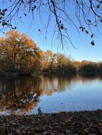 Beautiful Park & Local Food in Berlin🧡🇩🇪