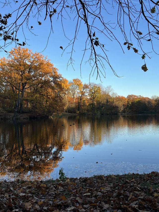 Beautiful Park & Local Food in Berlin🧡🇩🇪