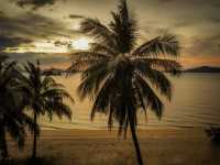 🌉 Sentosa Island Escape