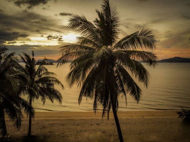 🌉 Sentosa Island Escape