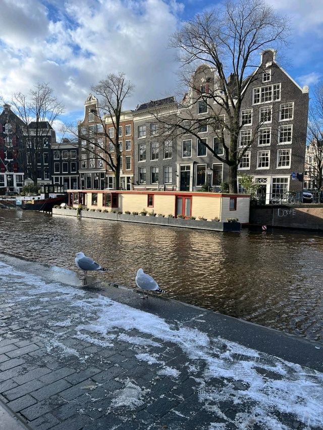 Epic Canal Feels🌙