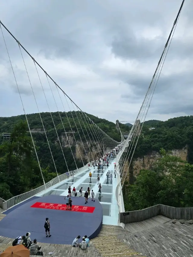 Glass Bridge and Zhangjiajie Canyon