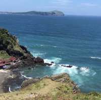 Jeju Island: Volcano Views, Fresh Air & Island Magic 🌊✨