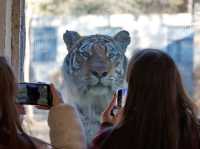 БЛОГЕРЫ В ЭФИРЕ: Сегодня поговорим о китайском Чанчуне