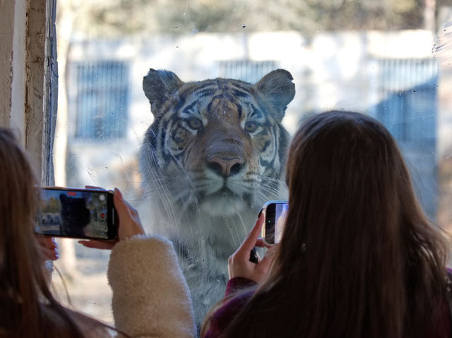 БЛОГЕРЫ В ЭФИРЕ: Сегодня поговорим о китайском Чанчуне БЛОГЕРЫ В ЭФИРЕ: Сегодня поговорим о китайском Чанчуне