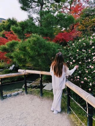 วัดมังกรสวรรค์ หนึ่งในห้าวัดเซนที่ยิ่งใหญ่ของเกียวโต 🍁