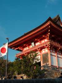 10 days in Japan 🇯🇵