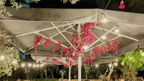Valia in Larnaca: The Local Gem You NEED to Try 🌟 — traveler post in Larnaca