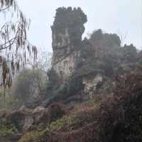 Misty Mountain Meanderings 