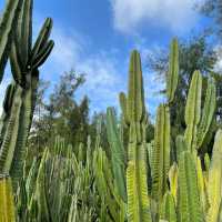 Top five attractions of Xiamen you can’t miss
