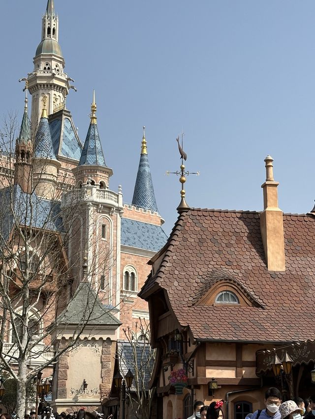 Springtime Shanghai Disney Resort🐭🎡🎪