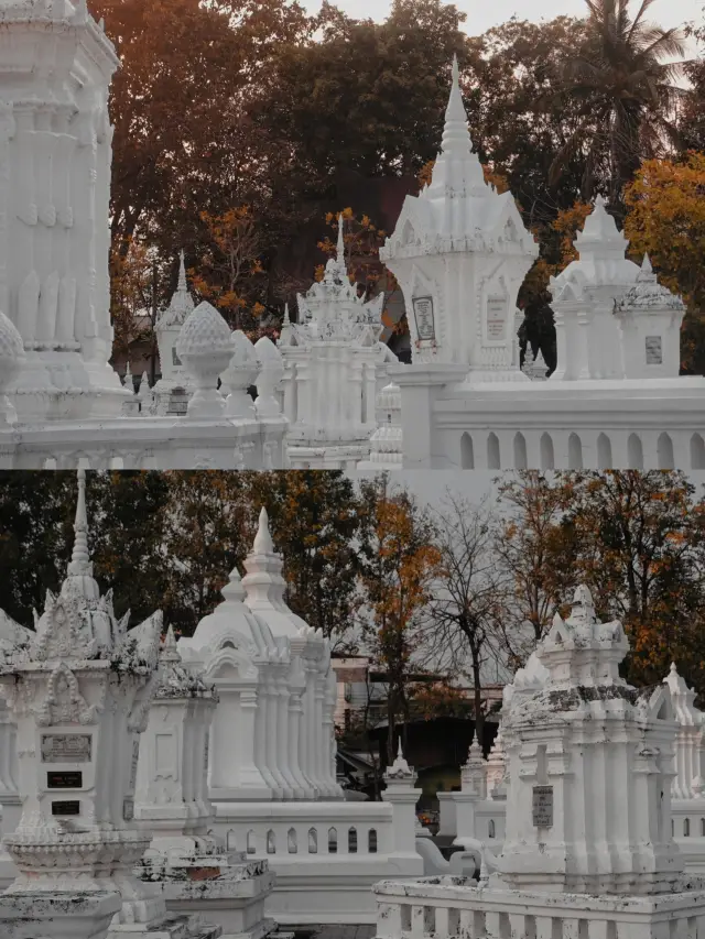 Wat Suan Dok: A cemetery temple with a garden theme.
